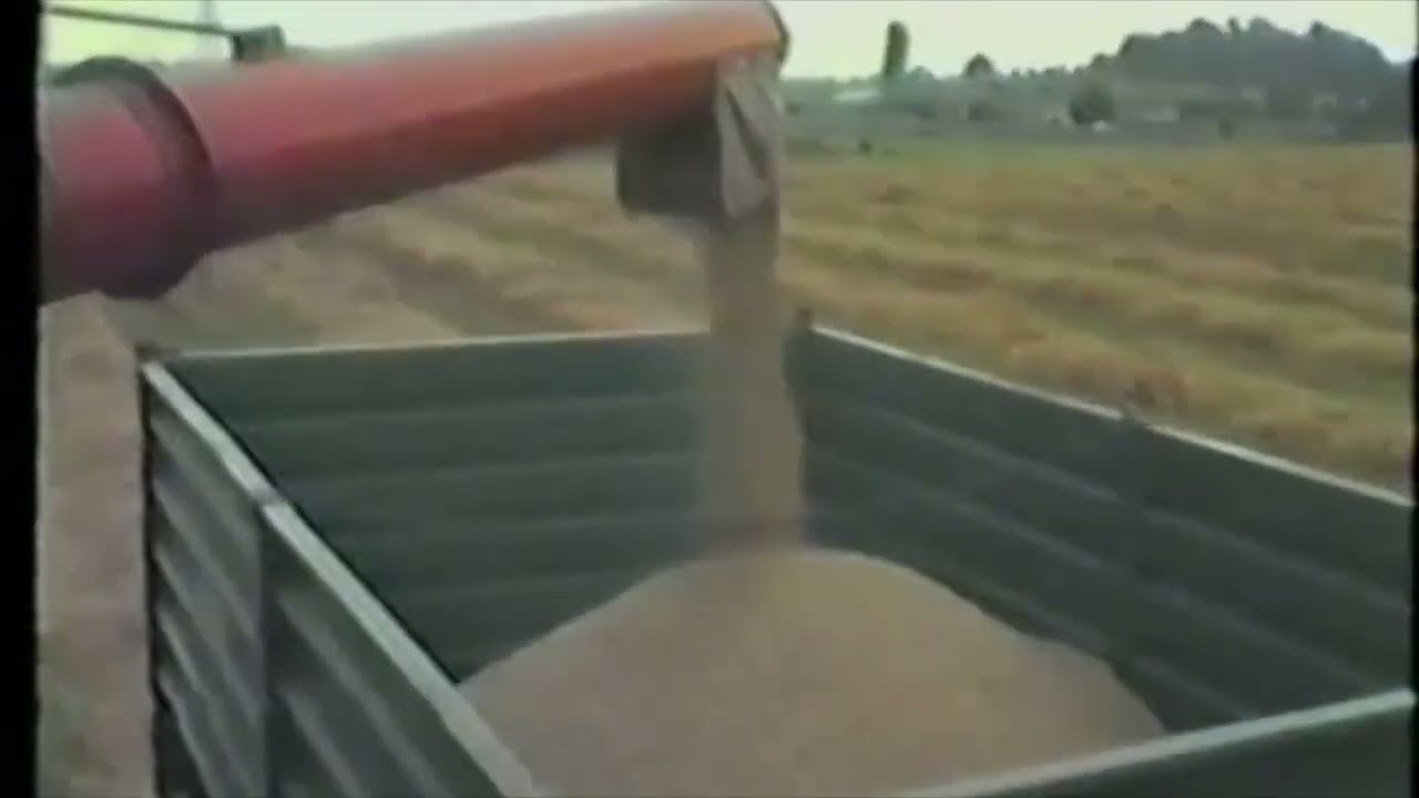 MASSEY FERGUSON 525 COMBINE HARVESTER IN SCOTLAND 1988
