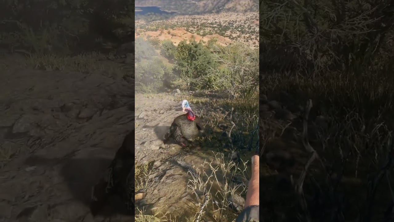 Turkeys are a SPECIAL kind of stupid | theHunter: Call of the Wild