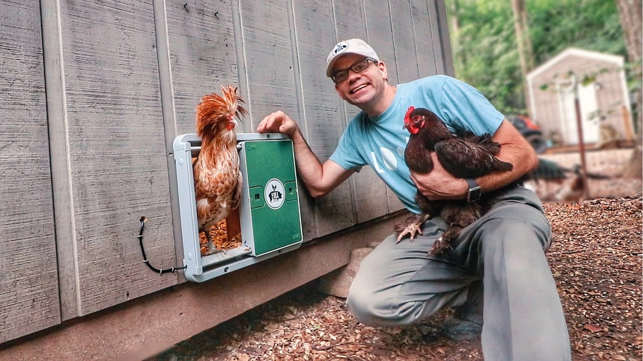 Upgrading Our Chicken Coop With An Automatic Chicken Door!