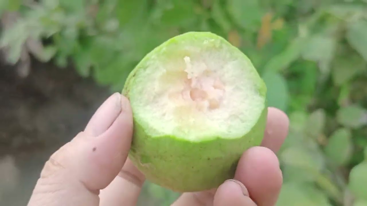 Cảnh Qu&ecirc; D&acirc;n D&atilde; Kh&ocirc;ng Ồn &Agrave;o Nhưng Rất Đỗi B&igrave;nh Y&ecirc;n 