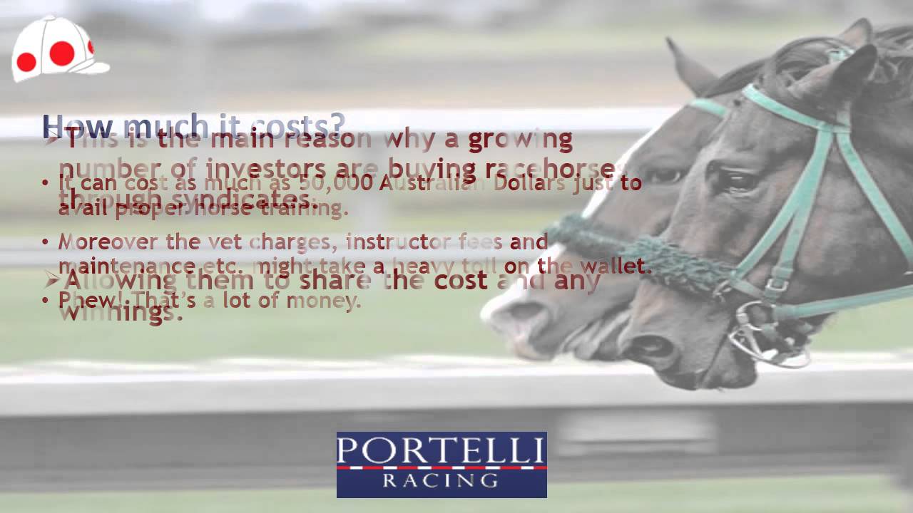 Form a Syndicate and Get Your Own Racehorse!