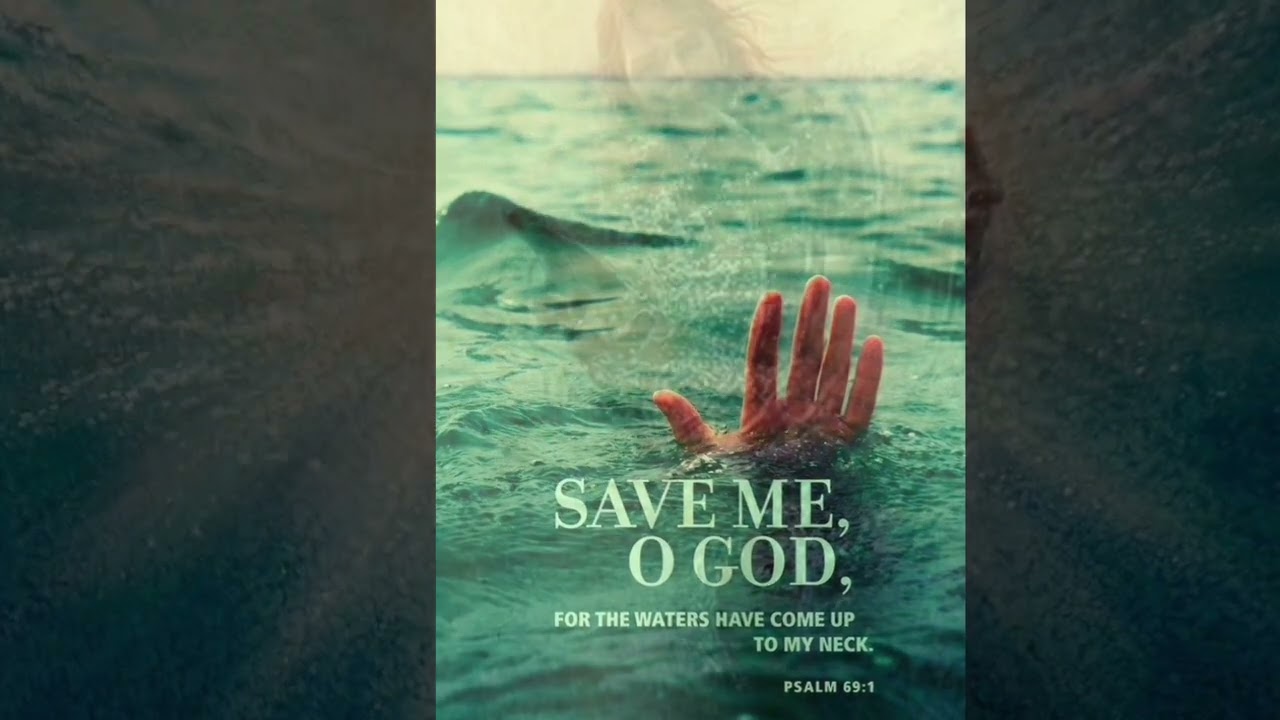 Walk on the Water (feat. Ruby Amanful) - Matthew S. Nelson & Dan Haseltine