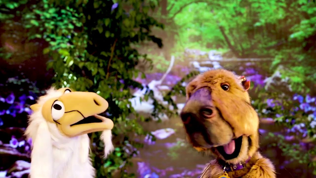 PIÑÓN FIJO | El pozo que cuida el carpincho Mateo