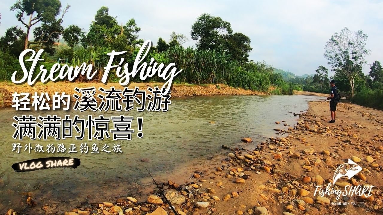 【FishingShare】轻松的溪流钓游，满满的惊喜！野外微物路亚钓鱼之旅|A Chill STREAM FISHING Trip with FULL OF SURPRISE！