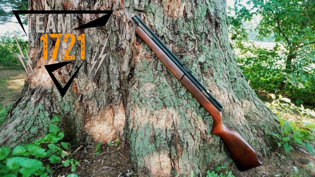 Benjamin 392 Ammo Test & Review