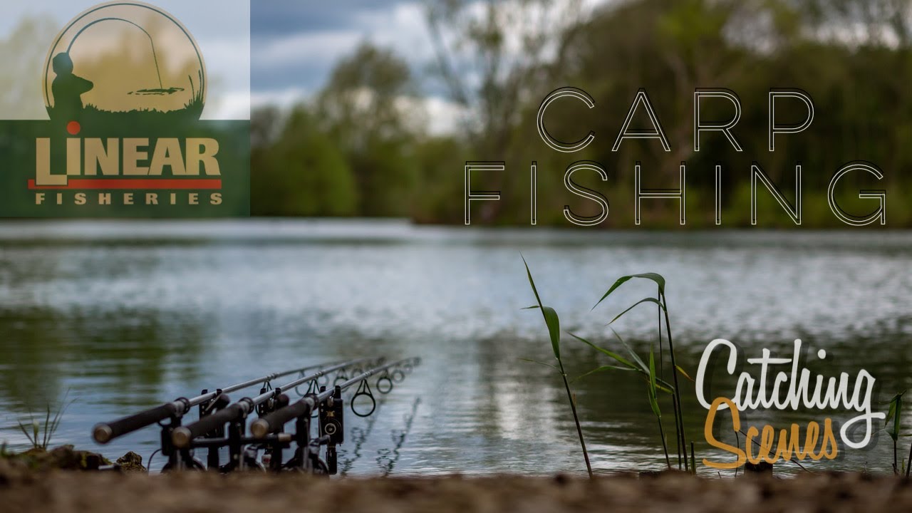 Linear Fisheries - Carp Fishing - Guy's Syndicate - Yeomans Lake - Catching Scenes #004
