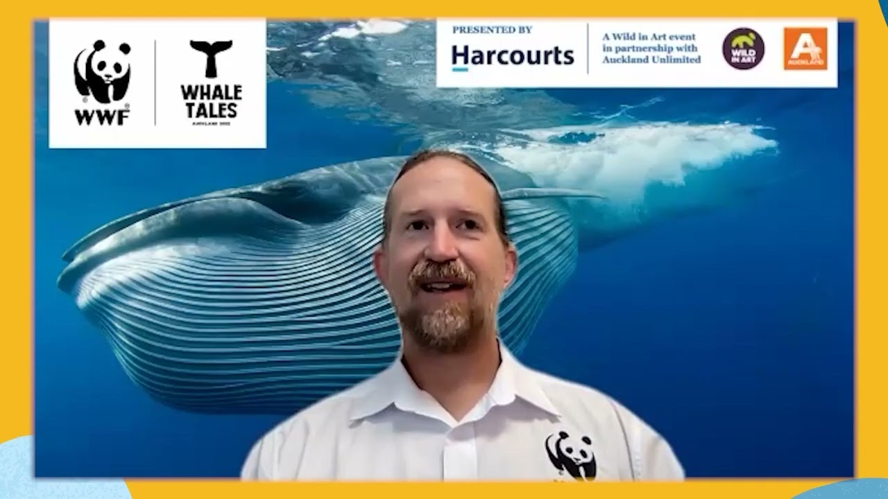 Social Innovation, the Kaleidoscope: Fishing for the Future