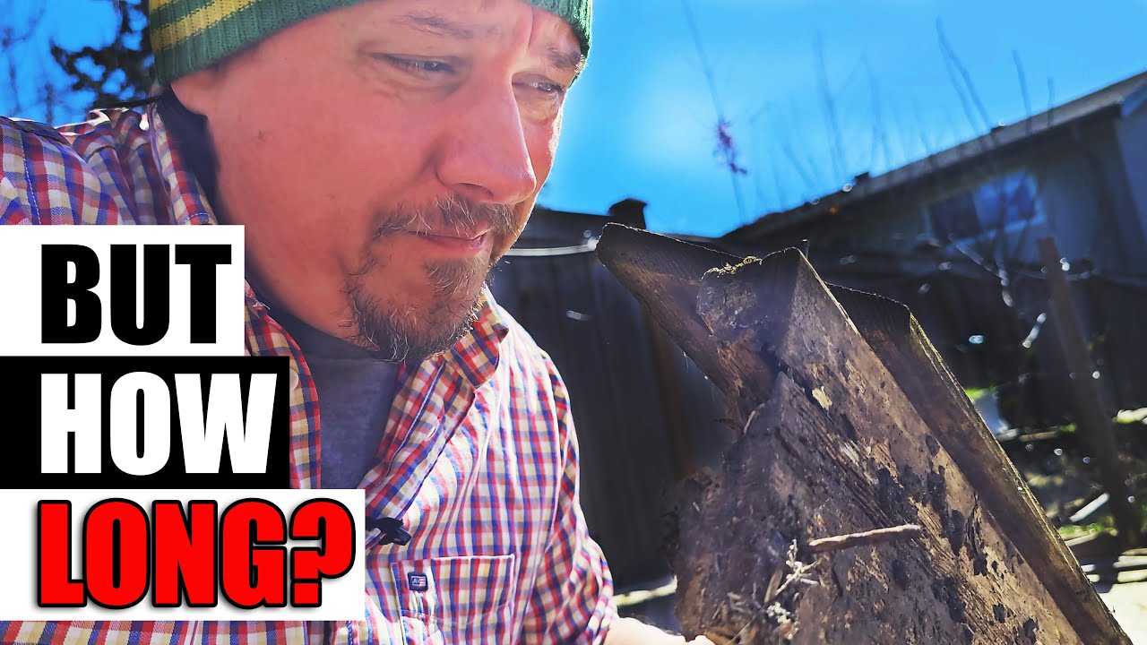How Long Do Garden Beds Last? - Garden Quickie Episode 133