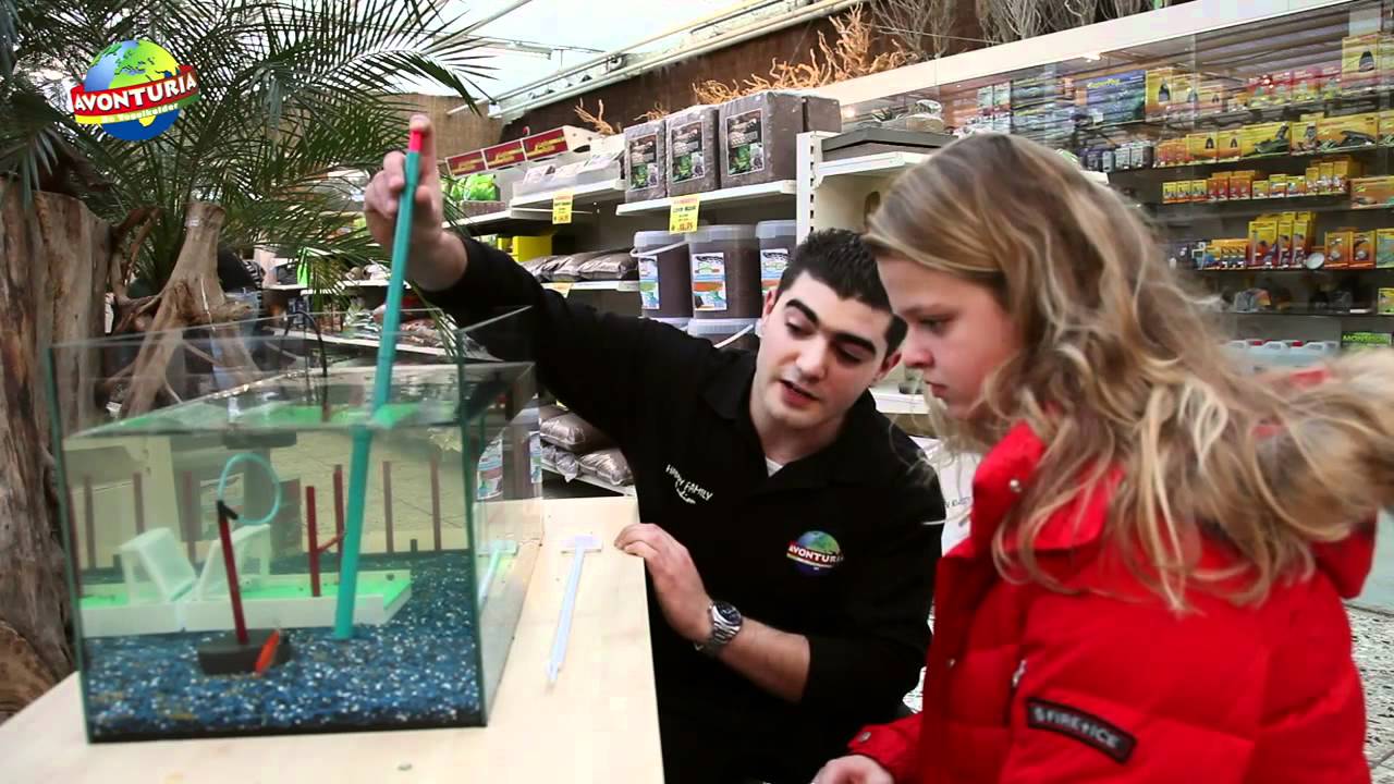 R2 Fish School bij Avonturia de Vogelkelder