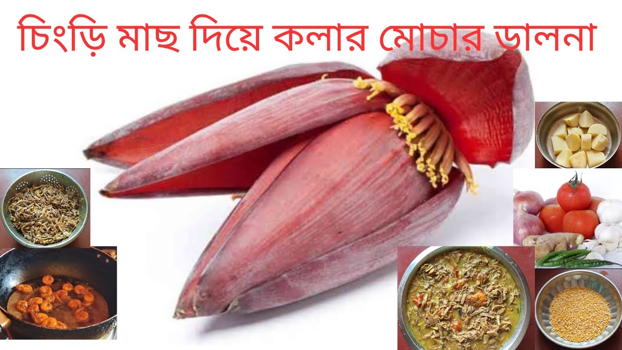 চিংড়ি মাছ দিয়ে কলার মোচার ডালনা রান্না l কলার মোচা ডালনা রান্না করার ঘরোয়া ও সহজ উপায় l