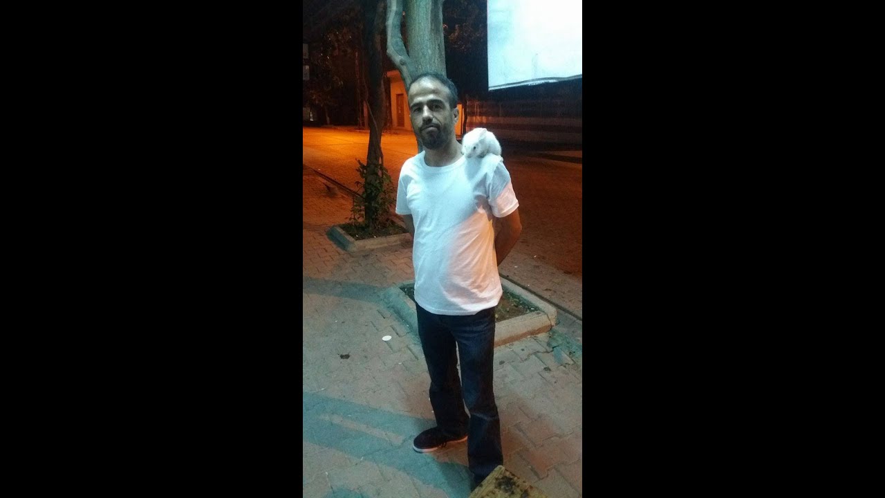 [MTA] Rot Balans Ayarı
