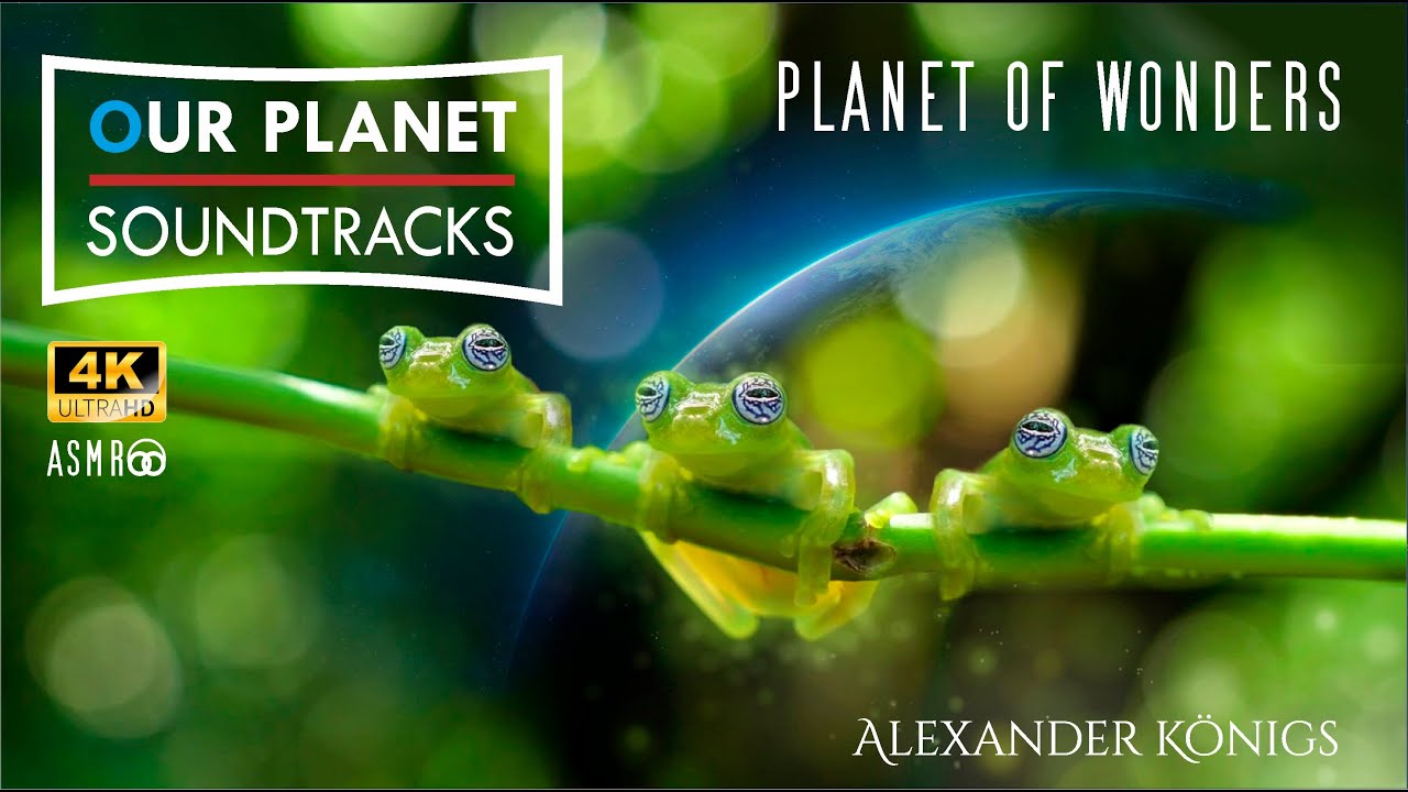 OUR PLANET Soundtracks - Planet of Wonders: a relaxing, uplifting cinematic music production series