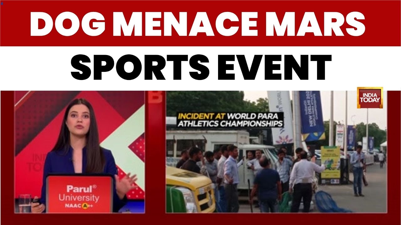 Shame in Delhi: Stray Dogs Bite Foreign Coaches at World Para Athletics