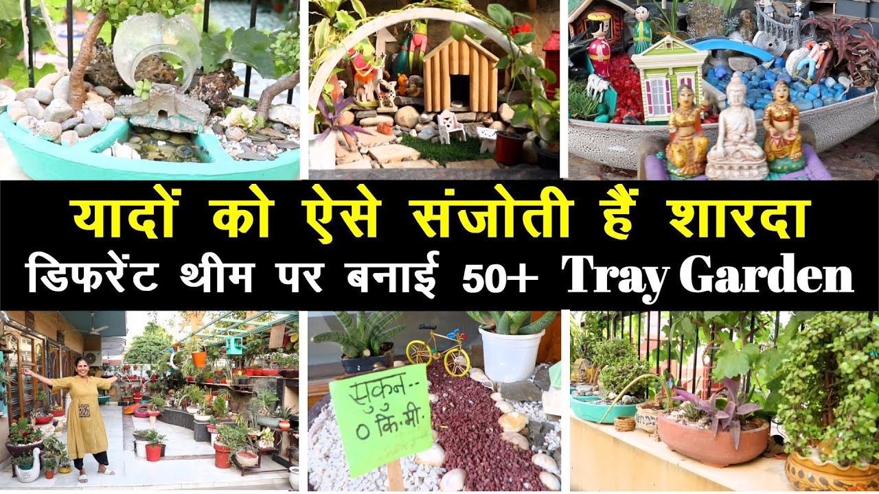 घर में बना दिये 50+ गार्डन, पौधों में छिपी है खुशी और गम की कहानियां ॥ Unique Farming