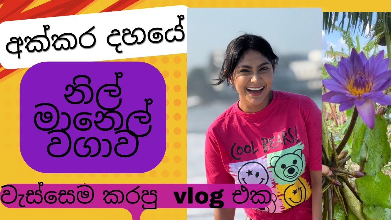 වැස්සෙම කරපු අක්කර  10 නිල් මානෙල් වගාවේ vlog එක.🌸