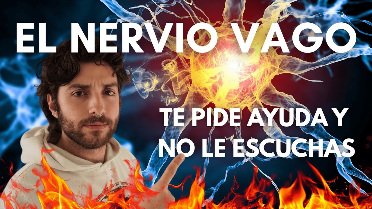 ¿Cuál es el Poder oculto del Nervio Vago? - Explicado por Neurocientífico