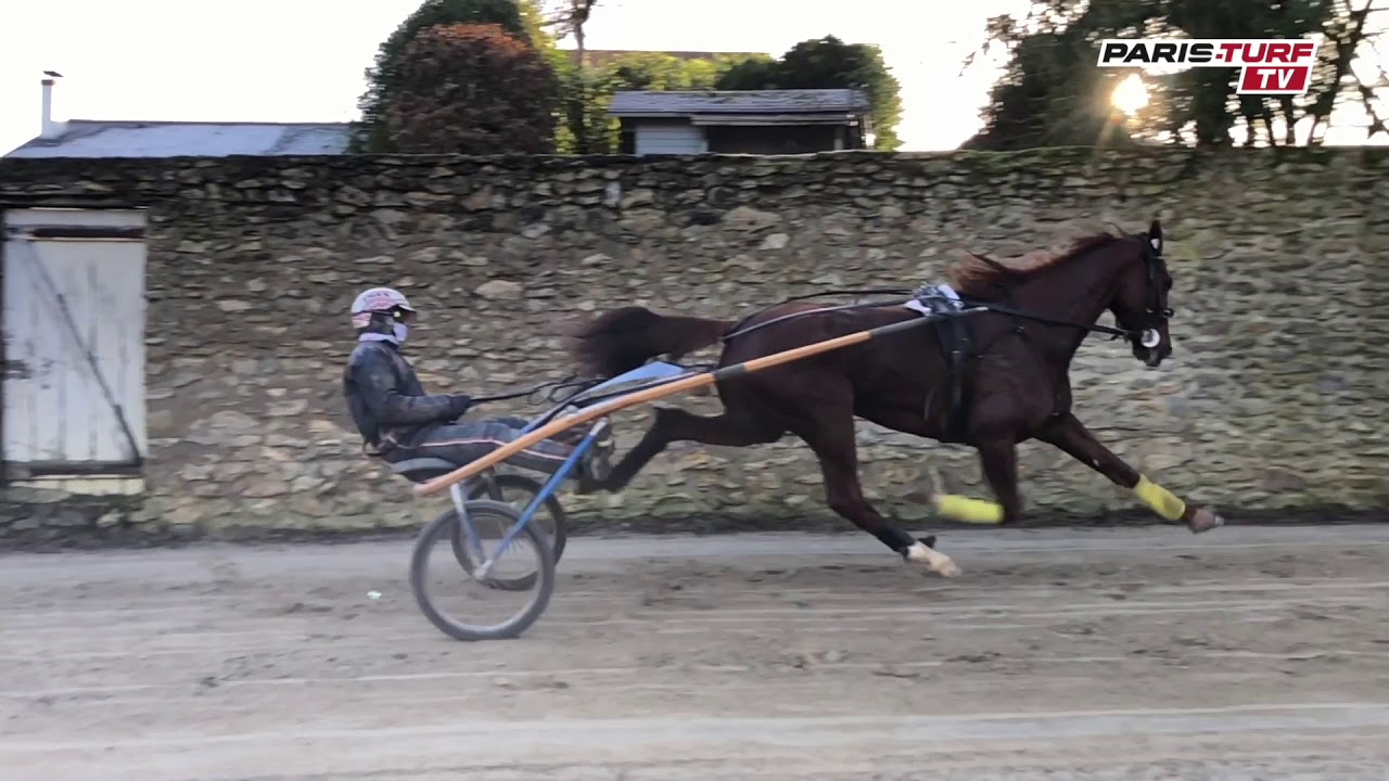 Paris-Turf TV - Bruits de sabots : Bélina Josselyn, Davidson du Pont et Looking Superb