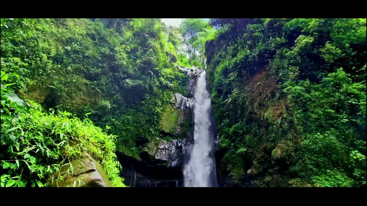 Soothing River Flow with Birds Singing | Sleep Therapy (10 Hours)