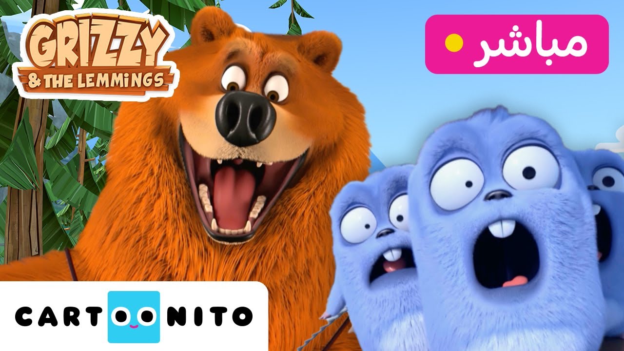 غريزي والليمينغز | Grizzy And The Lemmings | أفضل الحلقات | كارتونيتو