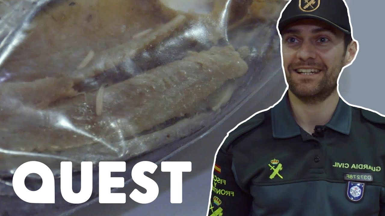 Officer Confiscates Fish Infested With Maggots | Border Control: Europe