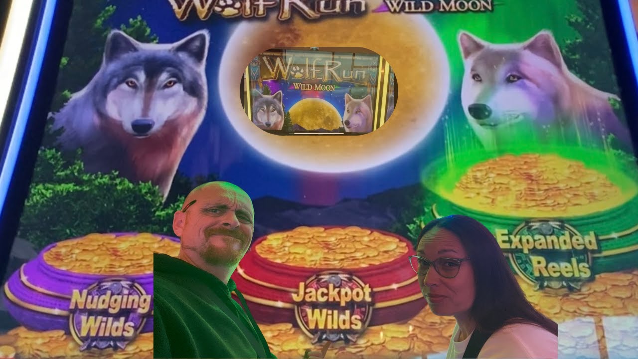 Let's see if WOLF RUN WILD MOON will be generous today