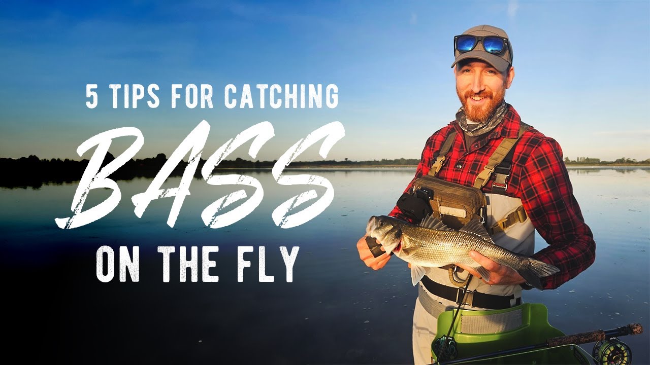 5 Tips For Fly Fishing For Bass | Sea Bass Fly Fishing | Saltwater Fly Fishing UK
