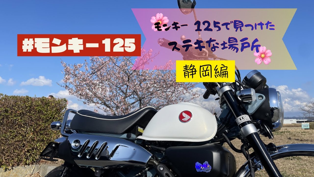 [#モンキー125]静岡でみっけたステキな場所💓1日ツーリング！🌸