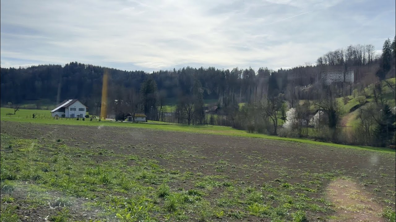 Mit dem Postauto von Zürich Wiedikon zum Türlersee (22.03.2023)