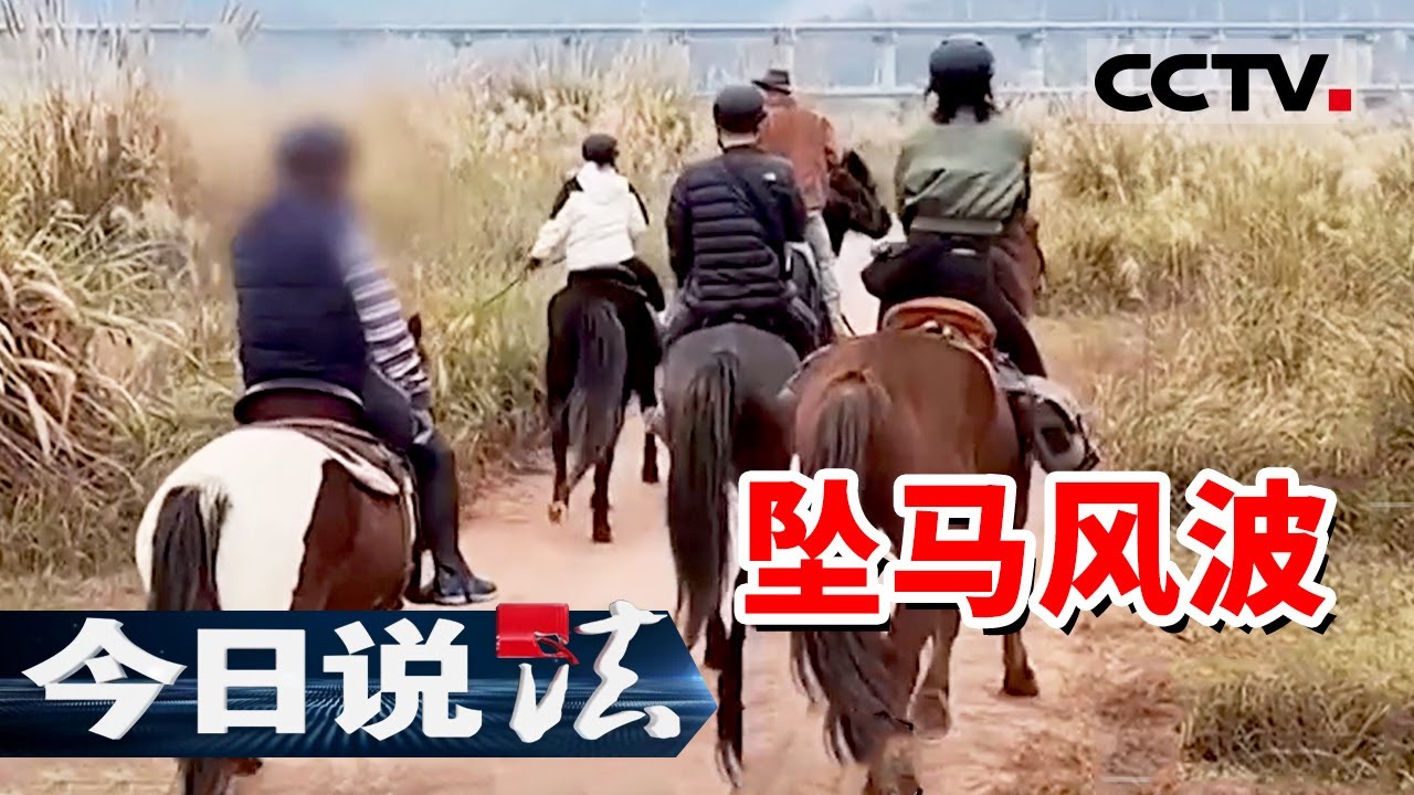 《今日说法》野外骑马意外受伤 一纸协议成为马场不赔偿的“免责金牌”？ 20260108 | CCTV今日说法官方频道