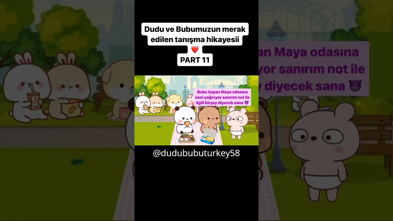 DUDU VE BUBU TANIŞMA BÖLÜM 11
