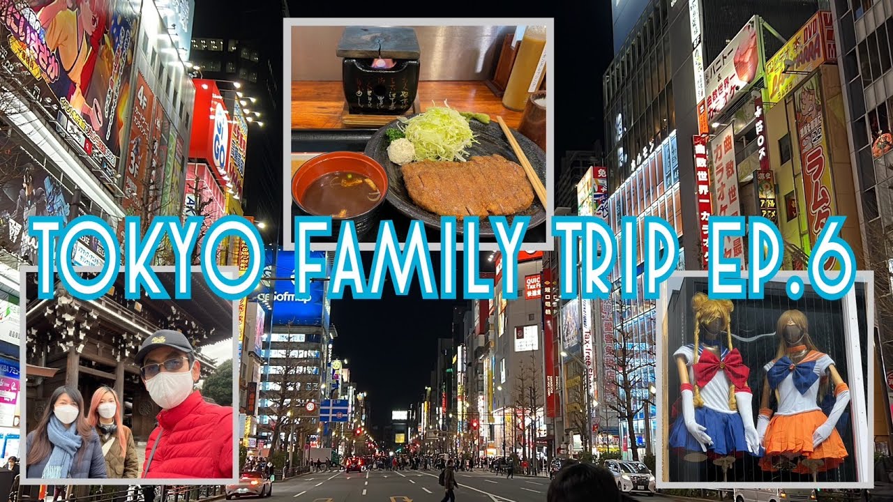 Akihabara กินGyu Katsu เนื้อA4  เดินเล่นศาลเจ้าเมจิ