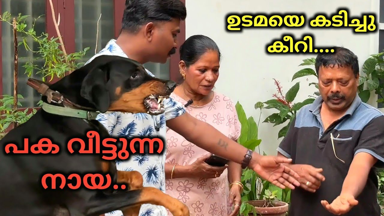 ലോകത്തിലെ എല്ലാരും ഇവന്റെ ശത്രുക്കൾ.. Leash talks..