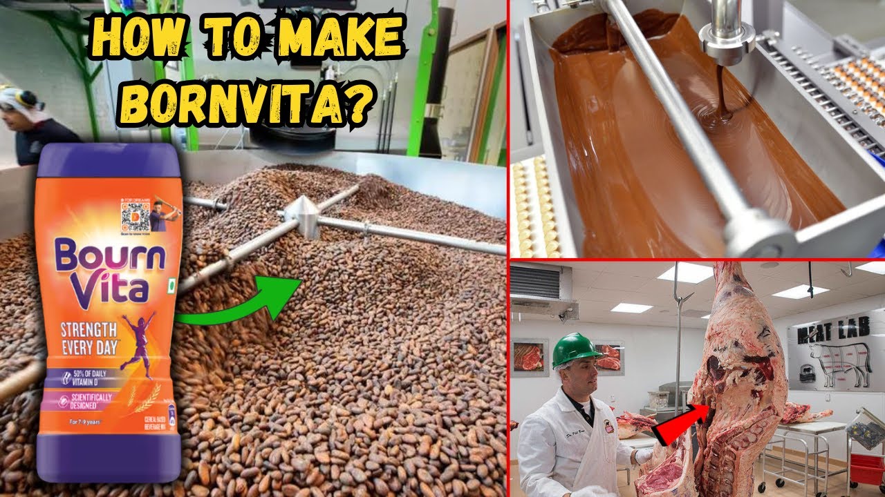 फैक्ट्री में Bournvita कैसे बनती है और इसमे अंडे क्यूँ मिलाए जाते है? । How To Make Bournvita