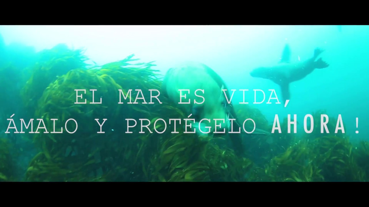 MAGNOLIA Blues Rock - Mirando el Mar . Video oficial