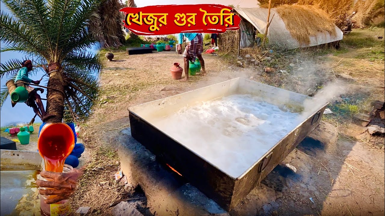 খাঁটি খেজুর গুর কিভাবে তৈরি করে আপনদের জন্য পুরোটা তুলে ধরলাম / Nolen Gur Making video 🤤