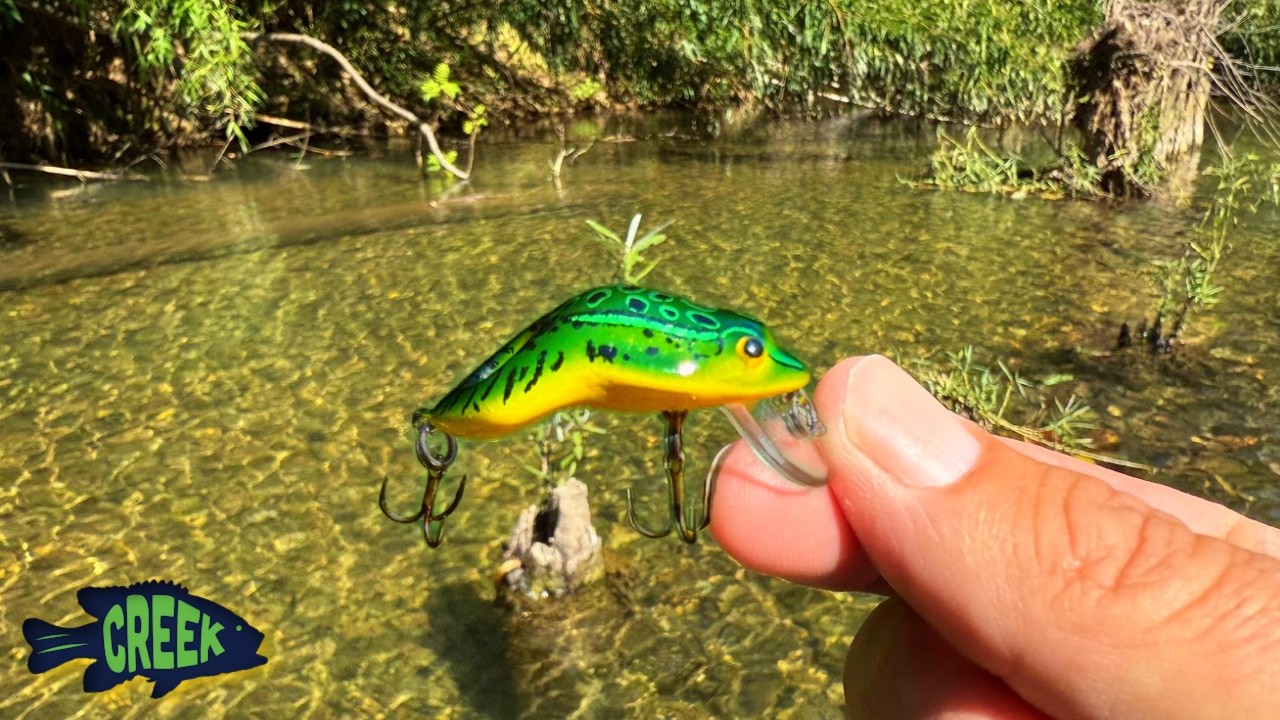 Ультралегкая рыбалка на ручье с Tiny Frog