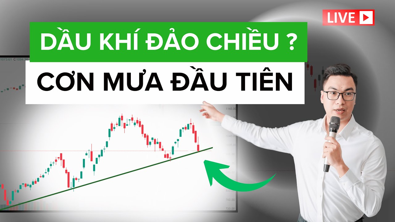 DẦU KHÍ ĐẢO CHIỀU ? CƠN MƯA ĐẦU TIÊN | Tú Lê