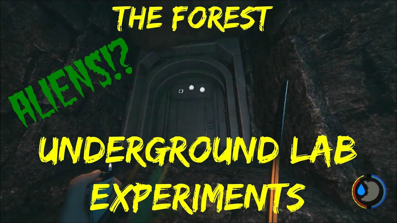 The Forest Theory - Underground Lab Experiments