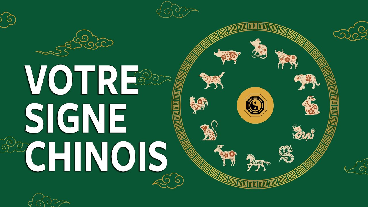 Astrologie chinoise | Découvrez Ce Que Votre Signe Révèle Vraiment !  (Ses Combinaisons)