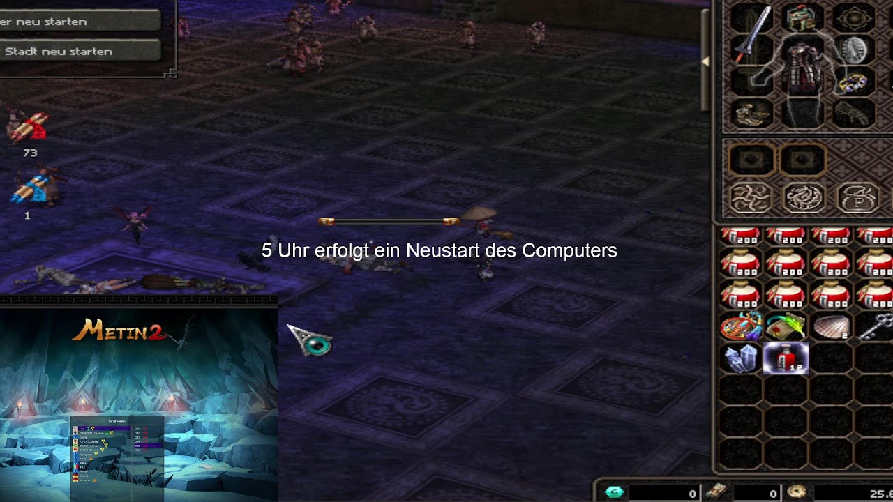 Metin2 - Winterserver 2025 - Nyx - Gilde Insane - 24/7