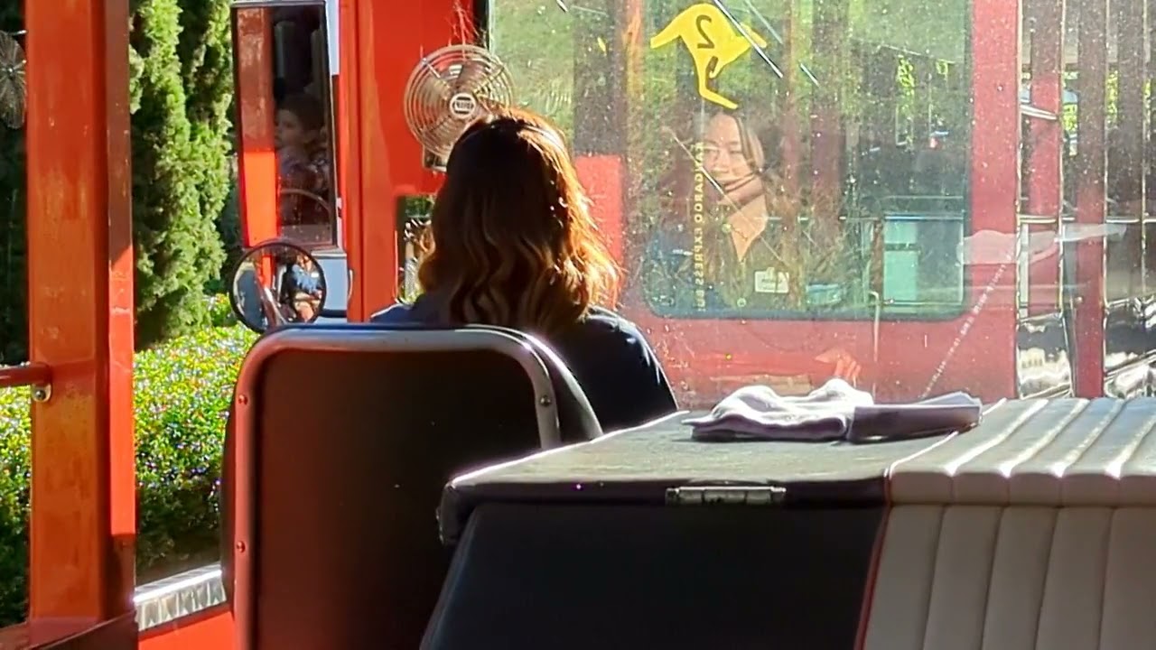 Caitlyn's San Diego Zoo Bus Tour
