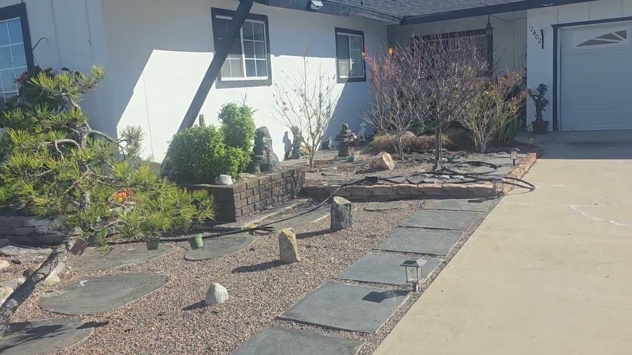 Japanese garden in my front yard 