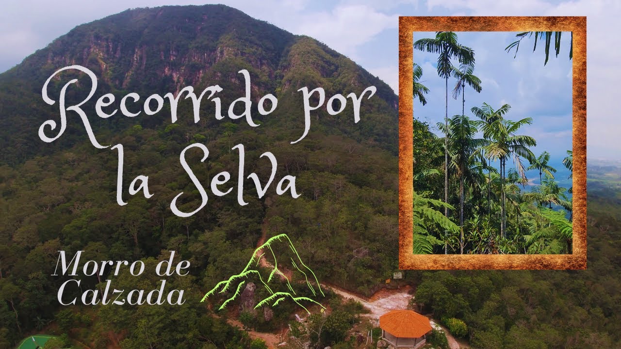 MORRO DE CALZADA ⛰️ - Moyobamba, Perú ¡IMPRESIONANTE EXPERIENCIA!  en 4K  Recorrido por la Selva🌴