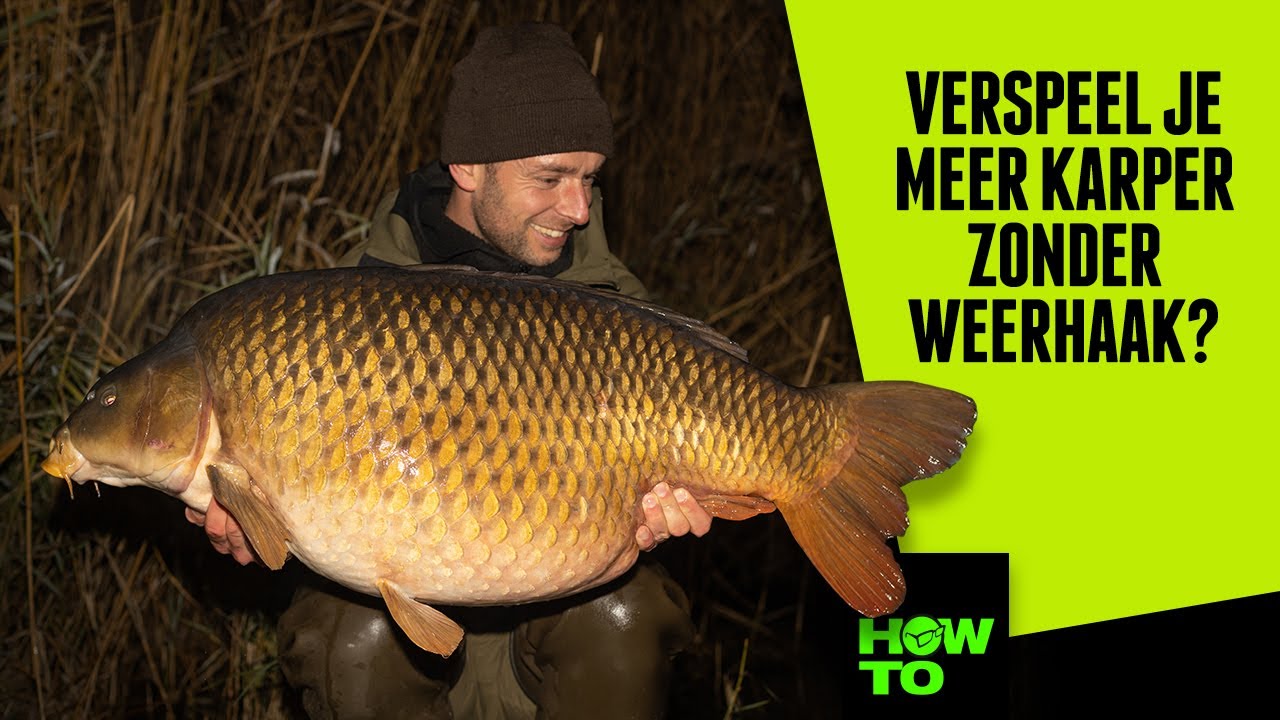 Verspeel je meer karper zonder weerhaak?  - Korda Benelux How To