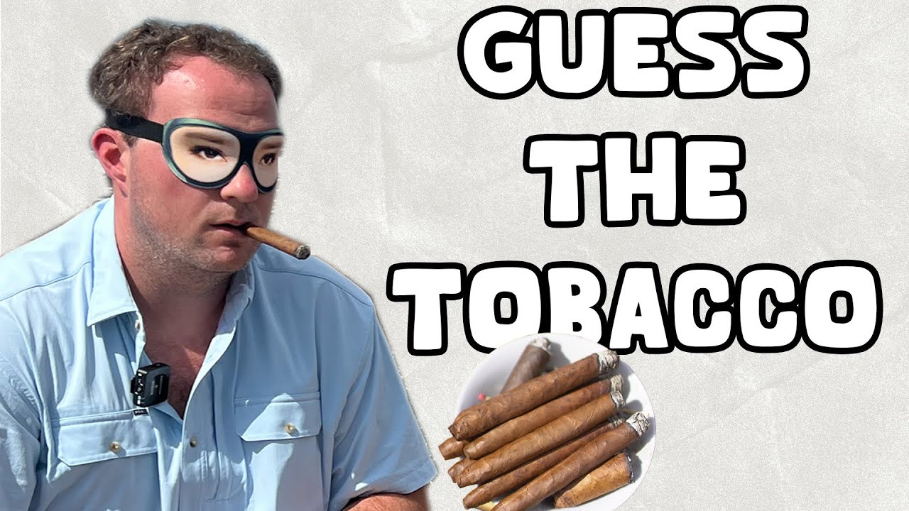 Blind Cigar Taste Test | FACTORY EXPERIENCE: PURITO BOX