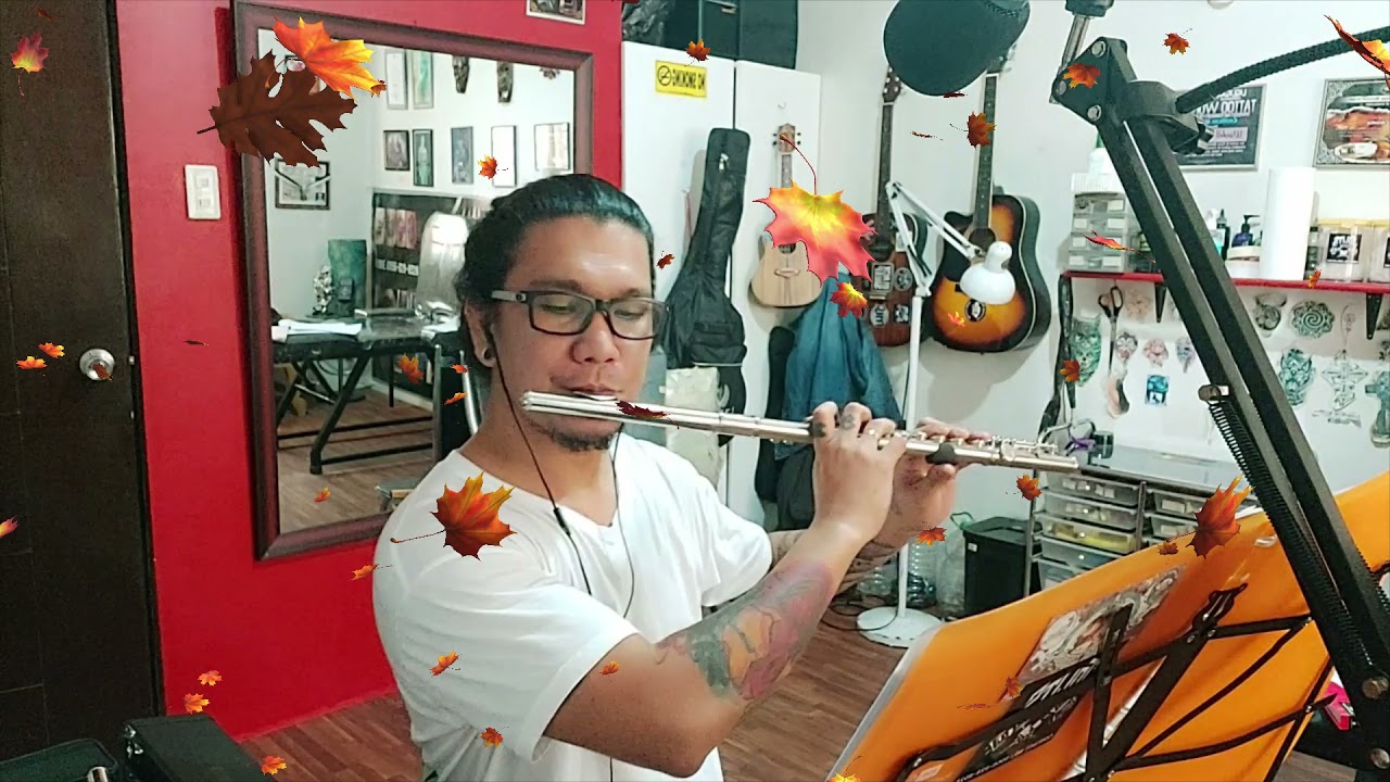 From This Moment by Shania Twain 》Flute cover