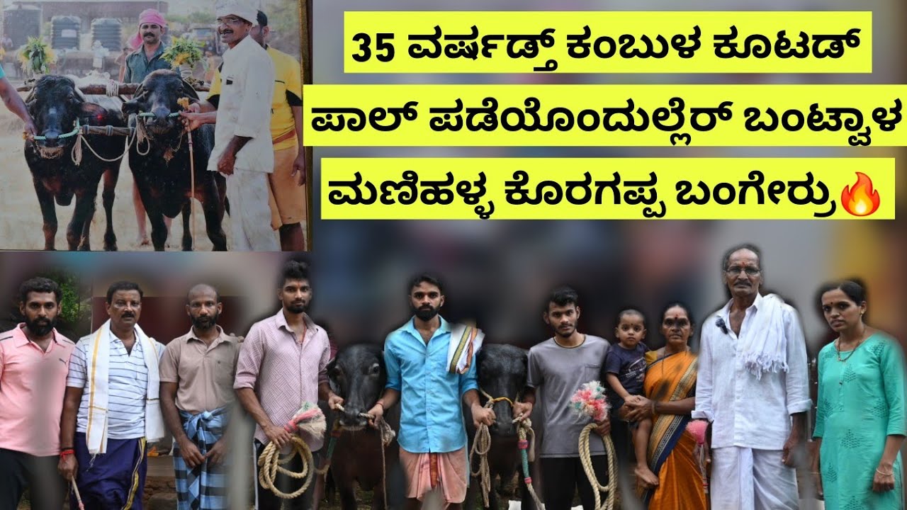35 ವರ್ಷಡ್ತ್ ಕಂಬುಳ ಕೂಟಡ್ ಪಾಲ್ ಪಡೆಯೊಂದುಲ್ಲೆರ್ ಬಂಟ್ವಾಳ ಮಣಿಹಳ್ಳ ಕೊರಗಪ್ಪ ಬಂಗೇರ್ರು🔥 Bantwala Manihalla