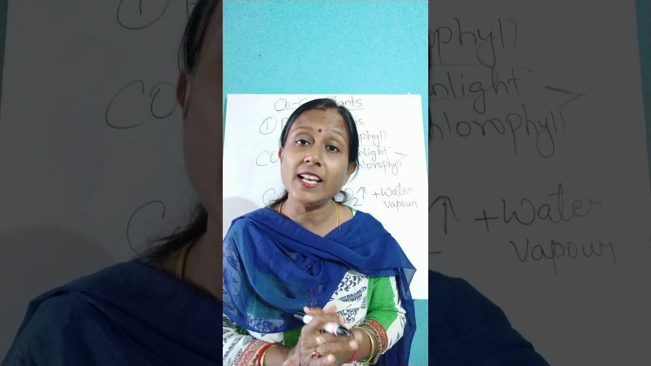 ICSE SCIENCE CLASS 4 CH 6 PLANTS