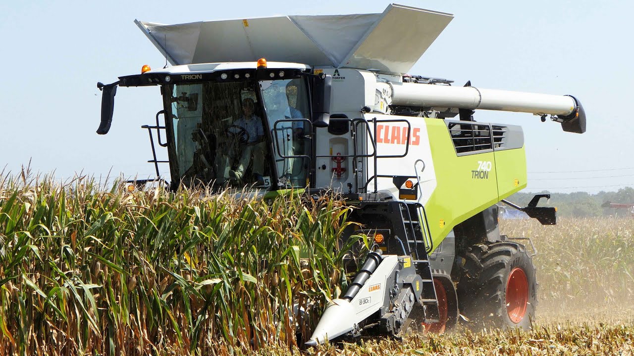 Claas Trion 740 in the field Harvesting Corn | Corn Harvest 2023