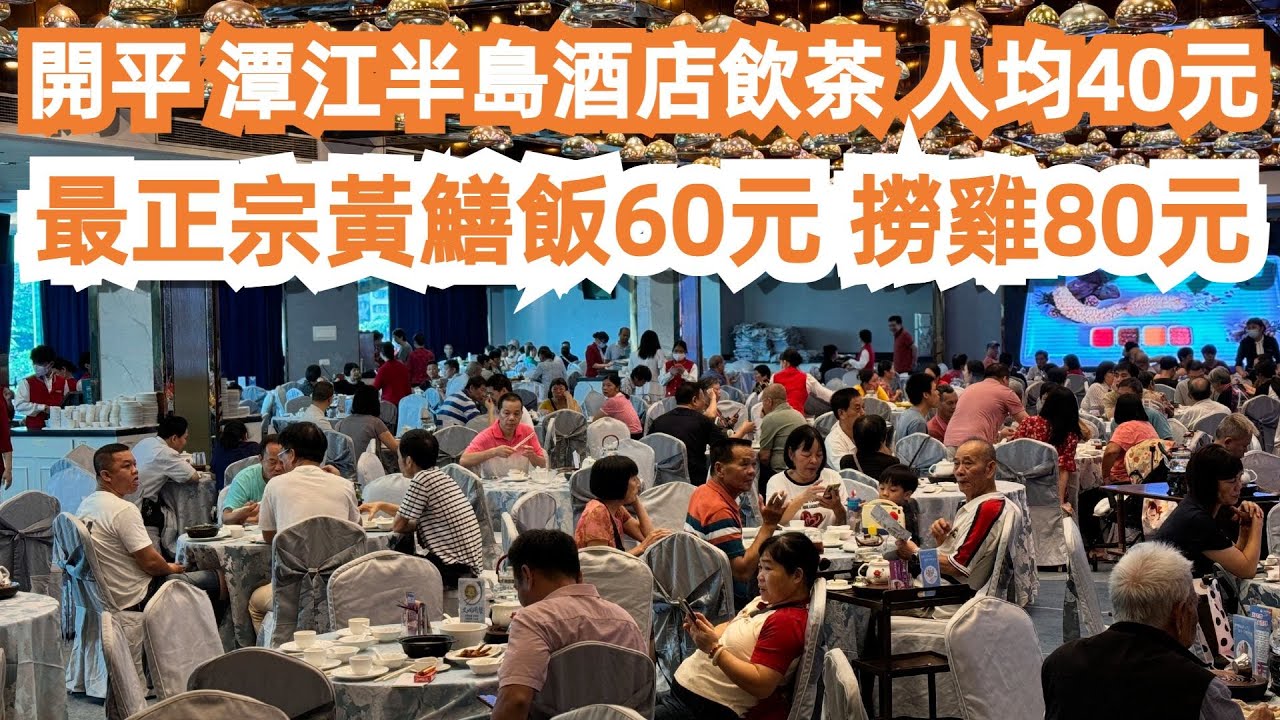 開平！潭江半島酒店飲茶！人均40元！當地最豪華五星級酒店！性價比之王！服務好！價錢平！dimsum！美食推薦！旅遊攻略！最正宗黃鱔飯60元！撈雞80元！Canton Food Tour｜Kaiping